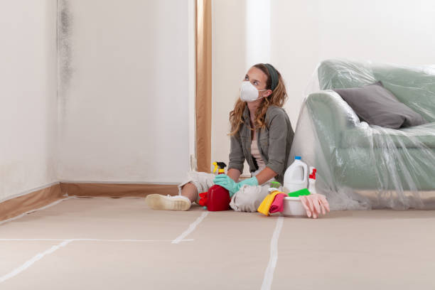 Reliable Bathroom Mold Removal contractor in Pflugerville, TX by Mold Remediation HQ